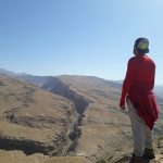 تصویر جواد محمدی