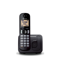 تلفن بی سیم سانترال پاناسونیک KX-TGC210 | خرید | نت‌ران
